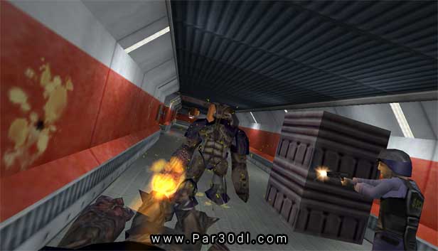 Half-Life